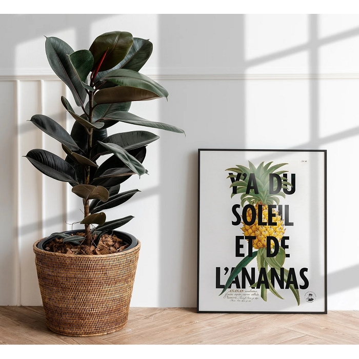 Studio topo affiche y a du soleil et de l ananas 